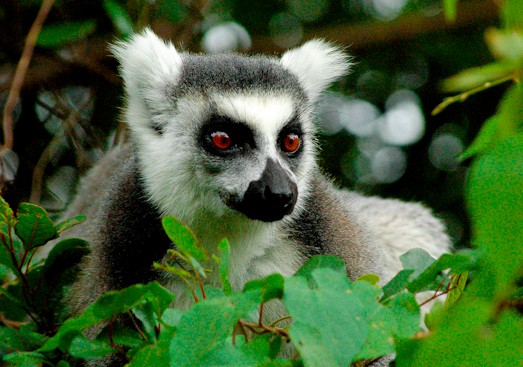 Madagascar - Randonnées et Trekking des Hautes Terres