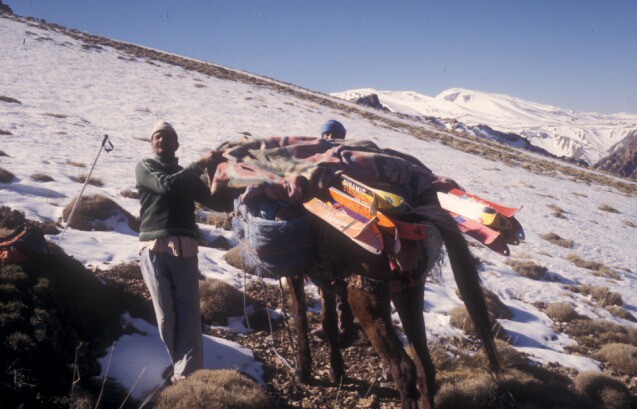 Maroc - Toubkal - Ski de randonnée