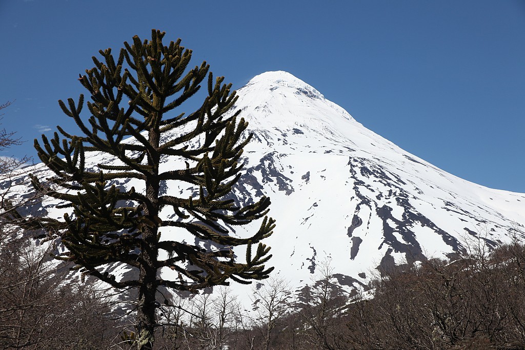 Chili - Ski de randonnée sur les volcans du massif de l'Araucanie