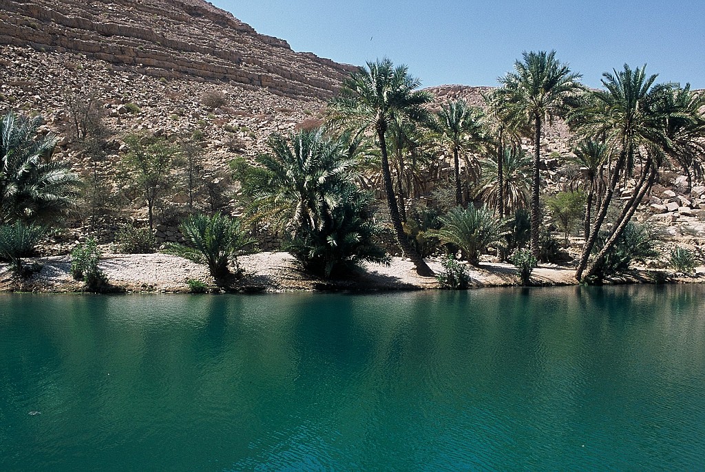 Oman - Entre Mer et désert