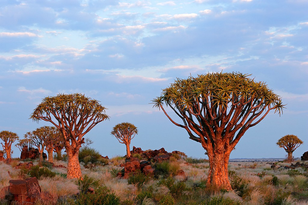 Namibie - Essentiel de la Namibie
