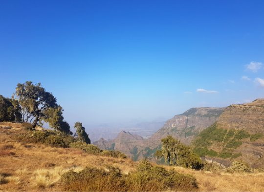 Ethiopie - Route historique et découverte du Dallol