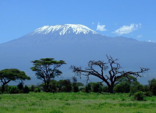 Tanzanie - Ascension du Kilimandjaro par la voie Machame