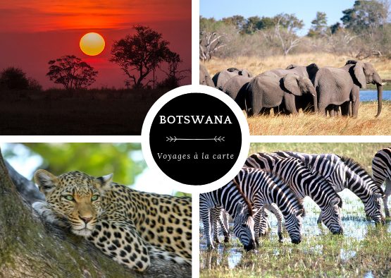 Botswana - A la carte : votre voyage sur mesure