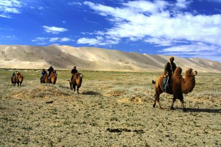 Mongolie - Immersion en Mongolie Festival du feutre et yak 