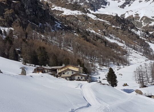 Italie - Thor des Géants - Val d'Aoste