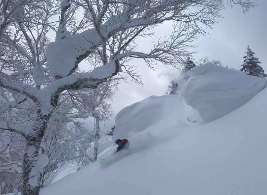 Japon - Ski à Hokkaïdo