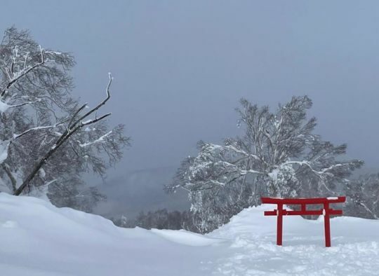 Japon - Ski safari Hokkaido