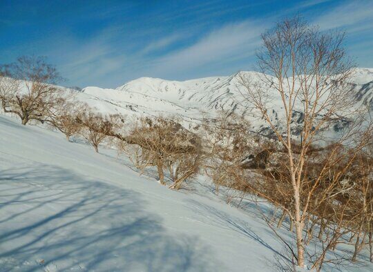 Japon - Ski dans les Alpes Japonaises, Mont-Fuji et Découverte