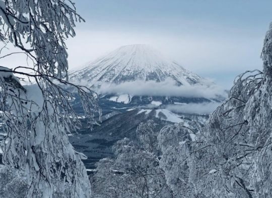 Japon - Ski safari Hokkaido