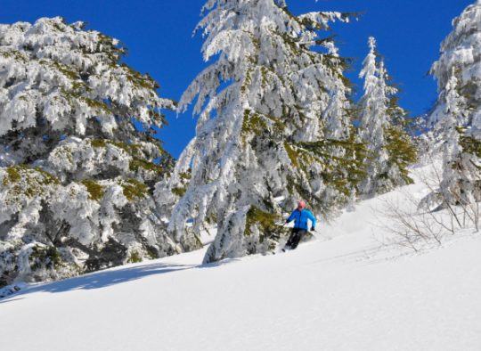 Liban - Raid à ski - Exploration dans les montagnes du Liban