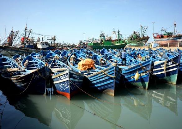 Randonnée Océane - Les matins du monde