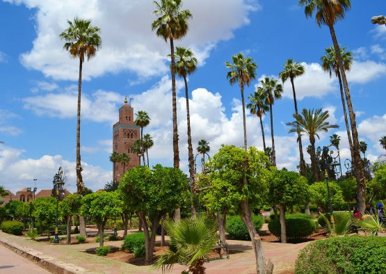 Maroc - Grande découverte du Sud Marocain