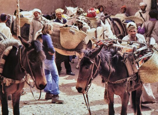 Maroc - Tour du Toubkal