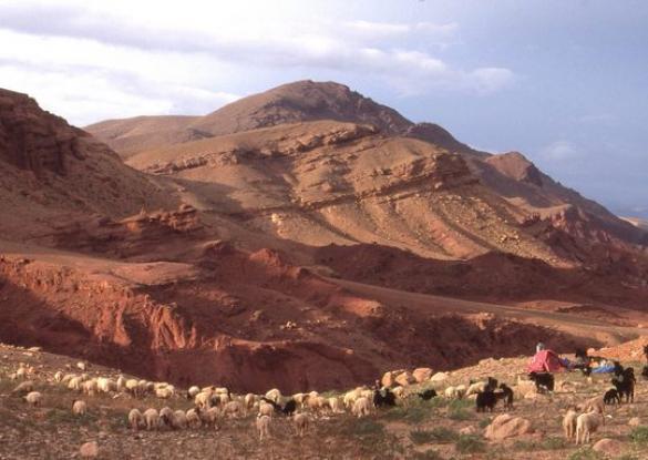 Trek des nomades - Les matins du monde