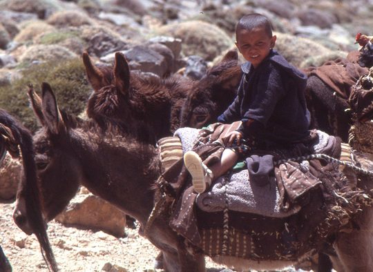 Maroc - Transhumance avec les nomades Aït Atta