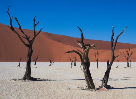 Namibie - A la carte : votre voyage sur mesure
