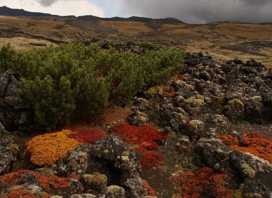 Russie - Kamchatka - Terre de volcans