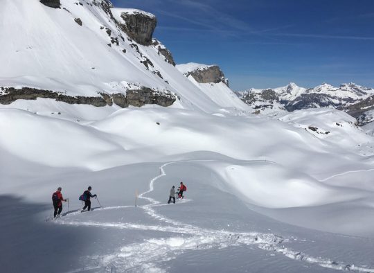 Le Simplon - Grands Cols et Hospices des Alpes en Raquettes - Les matins du monde