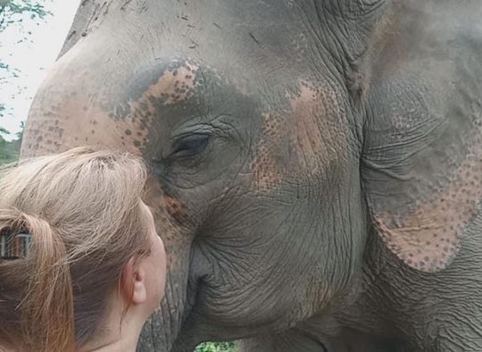 Thaïlande - Voyage en Soi sur la terre des éléphants ® en Thaïlande 